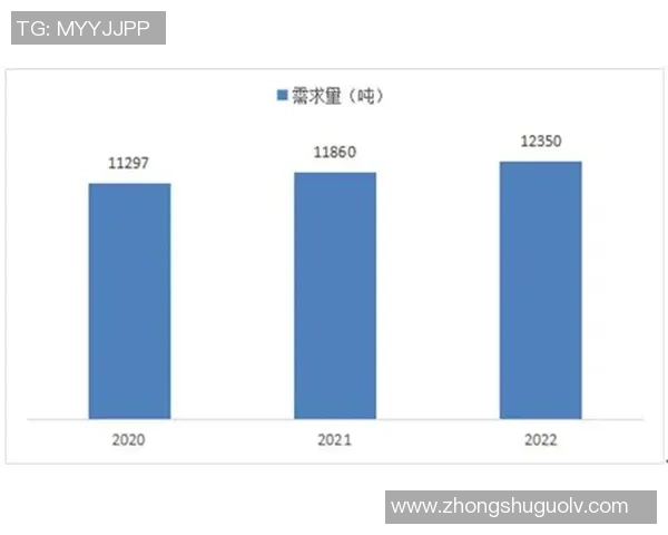 足球明星签名鞋的市场价值及其影响因素分析